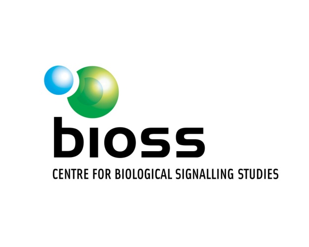 bioss Logo Design