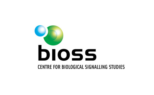 bioss Logo Design